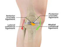 Ligament Injuries